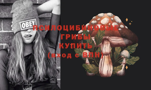 ГАЛЛЮЦИНОГЕННЫЕ ГРИБЫ Навашино
