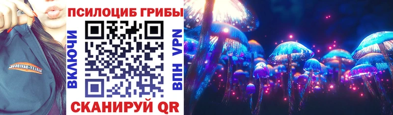 kraken как зайти  Истра  Галлюциногенные грибы мицелий 