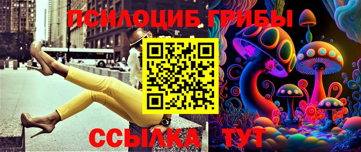 Истра  Галлюциногенные грибы GOLDEN TEACHER  Вход с VPN 