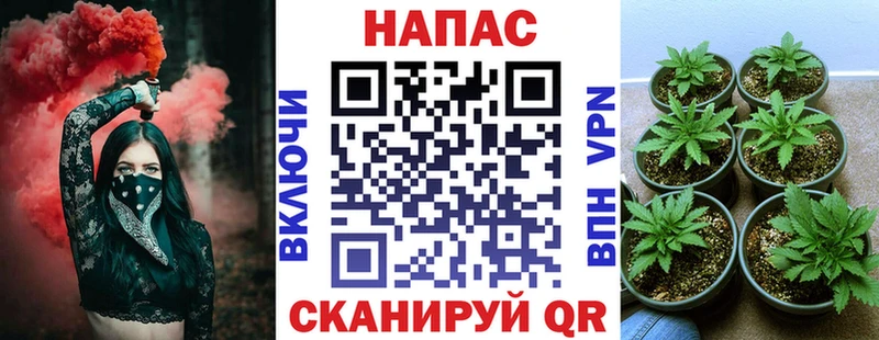 купить   Истра  Бошки Шишки Ganja 