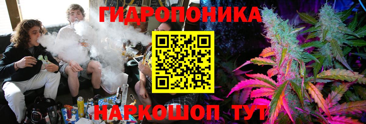 Шишки марихуана сатива  Марихуана индика  Истра  Вход с VPN  Марихуана сатива 